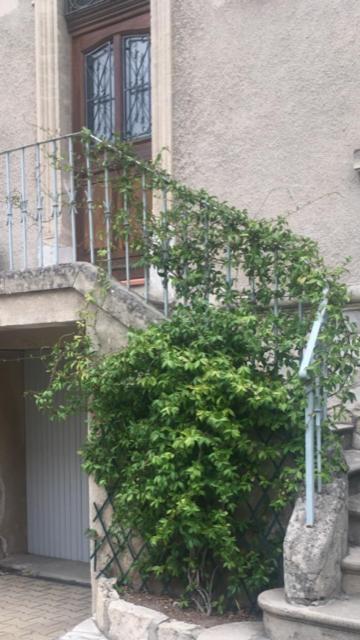 Chez Catherine 阿爾勒 外观 照片
